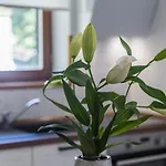 Apartman Silvia Big Private Garden *